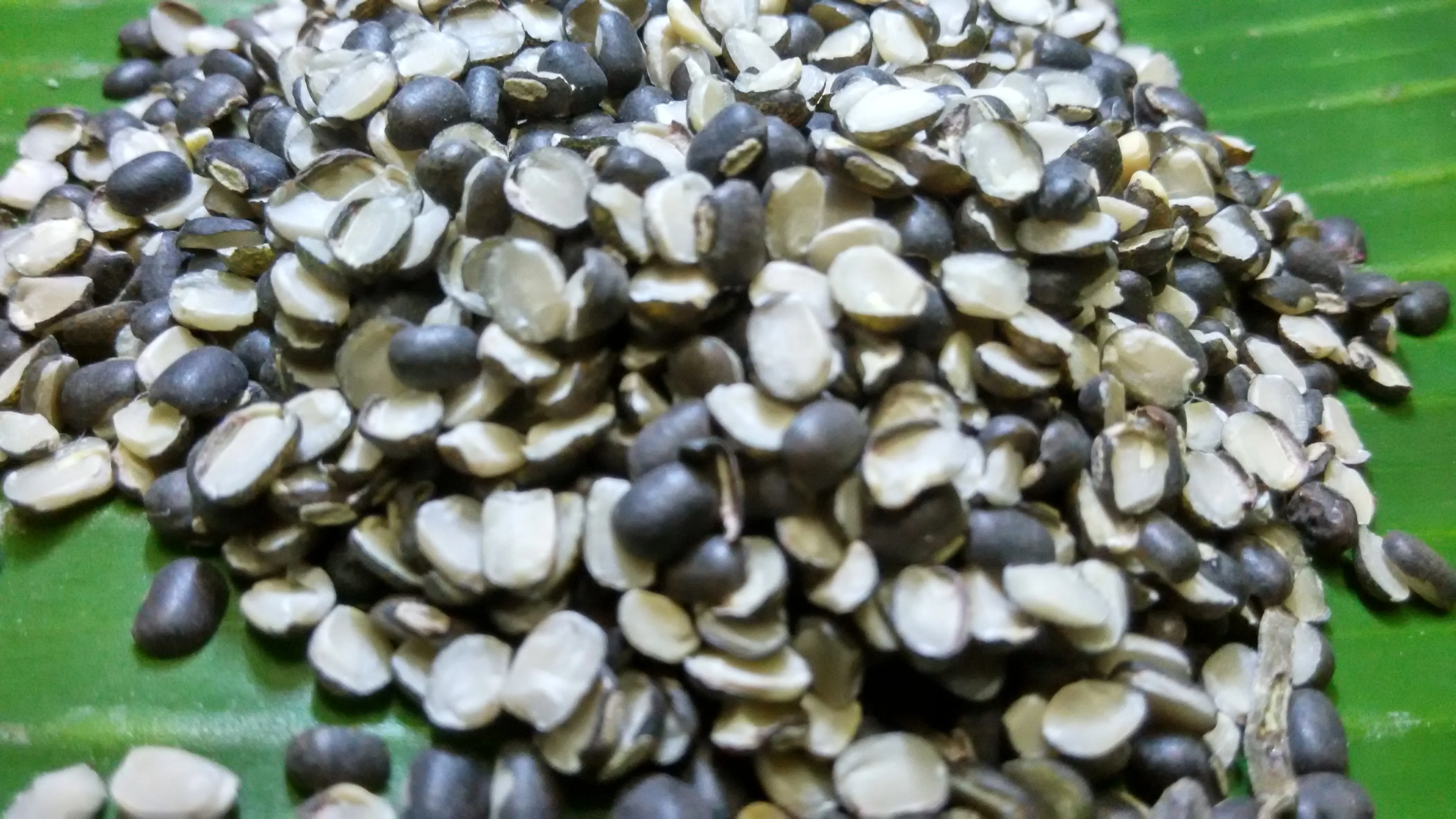 Some split, unhulled urad beans