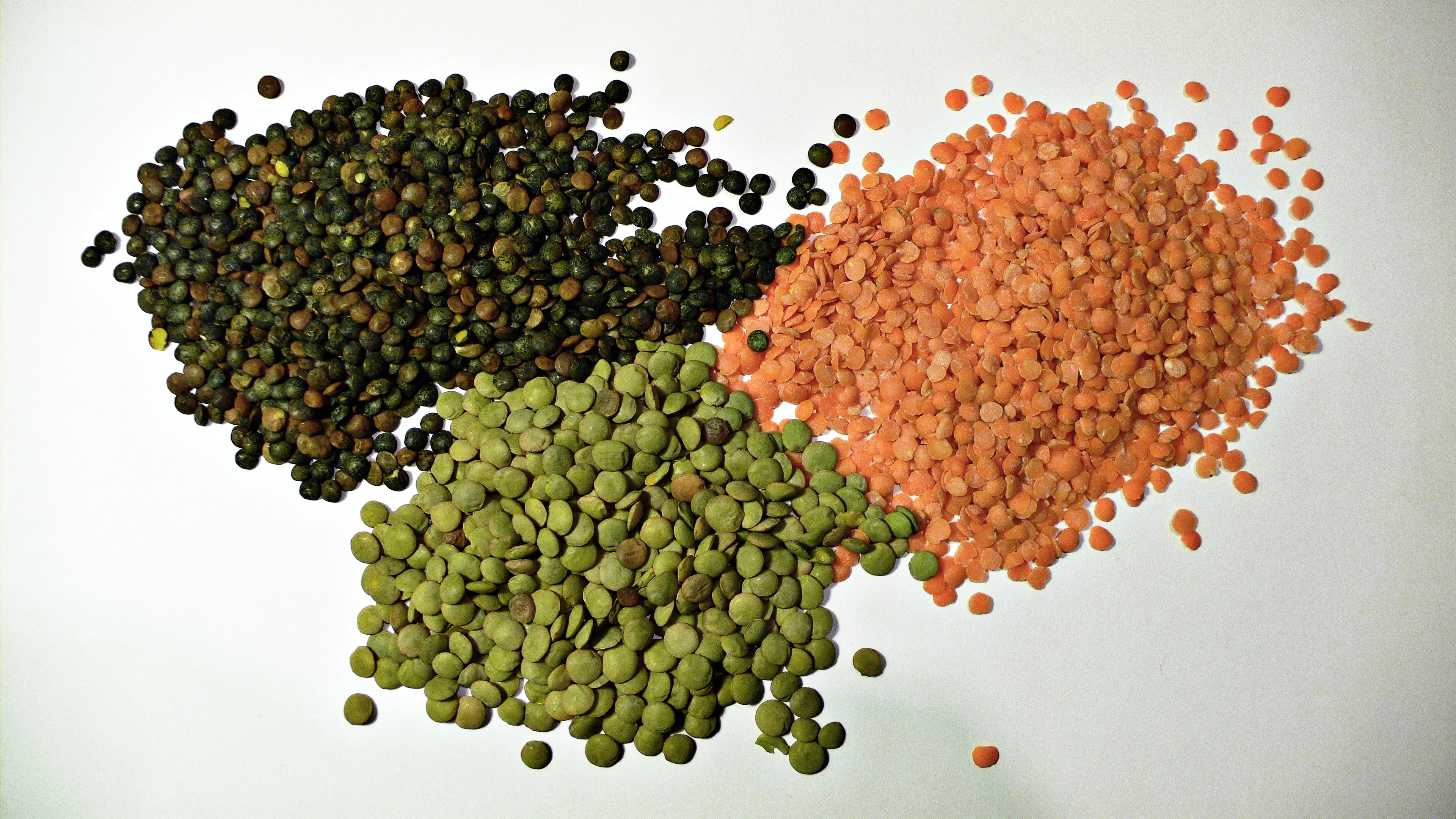 Three different types of lentils (probably)