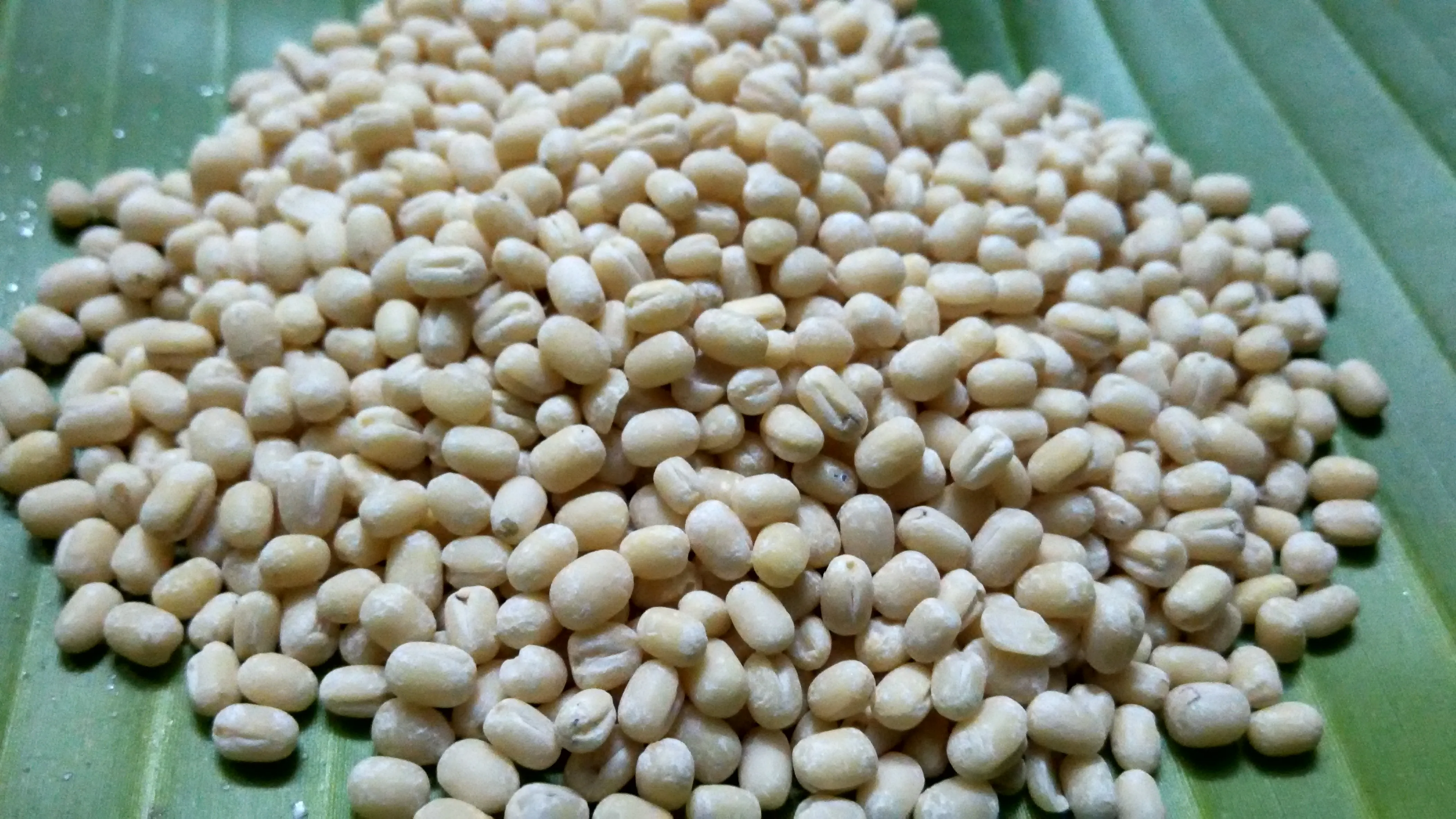 Some whole, hulled mung beans